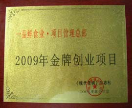 2009�ꄓ(chu��ng)�I(y��)�(xi��ng)Ŀ