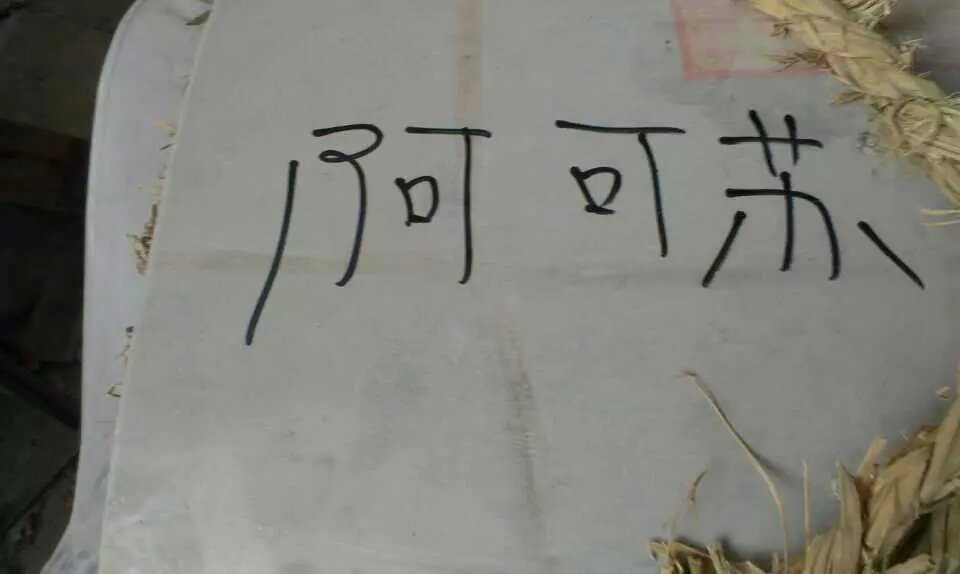 一品鮮食品機(jī)械一天發(fā)六家客戶